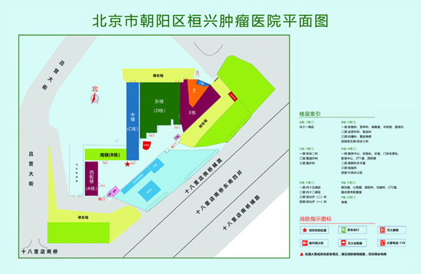 日逼逼黄片北京市朝阳区桓兴肿瘤医院平面图